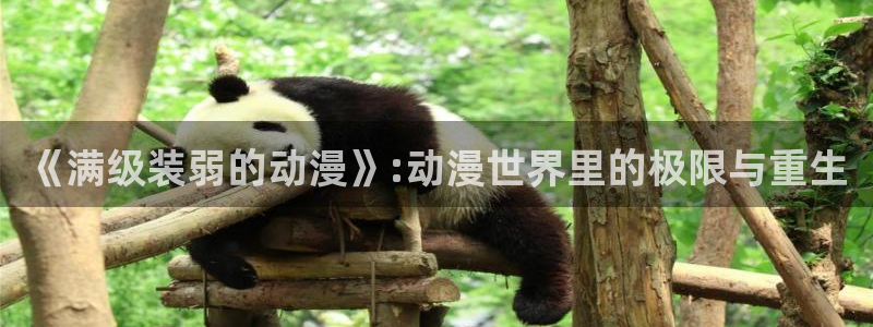 风车动漫免费网站：《满级装弱的动漫》:动漫世界里的极限与重生